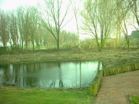 teich_terrasse.jpg