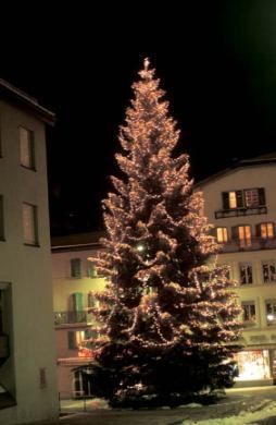 weihnachtsbeleuchtung1.jpg